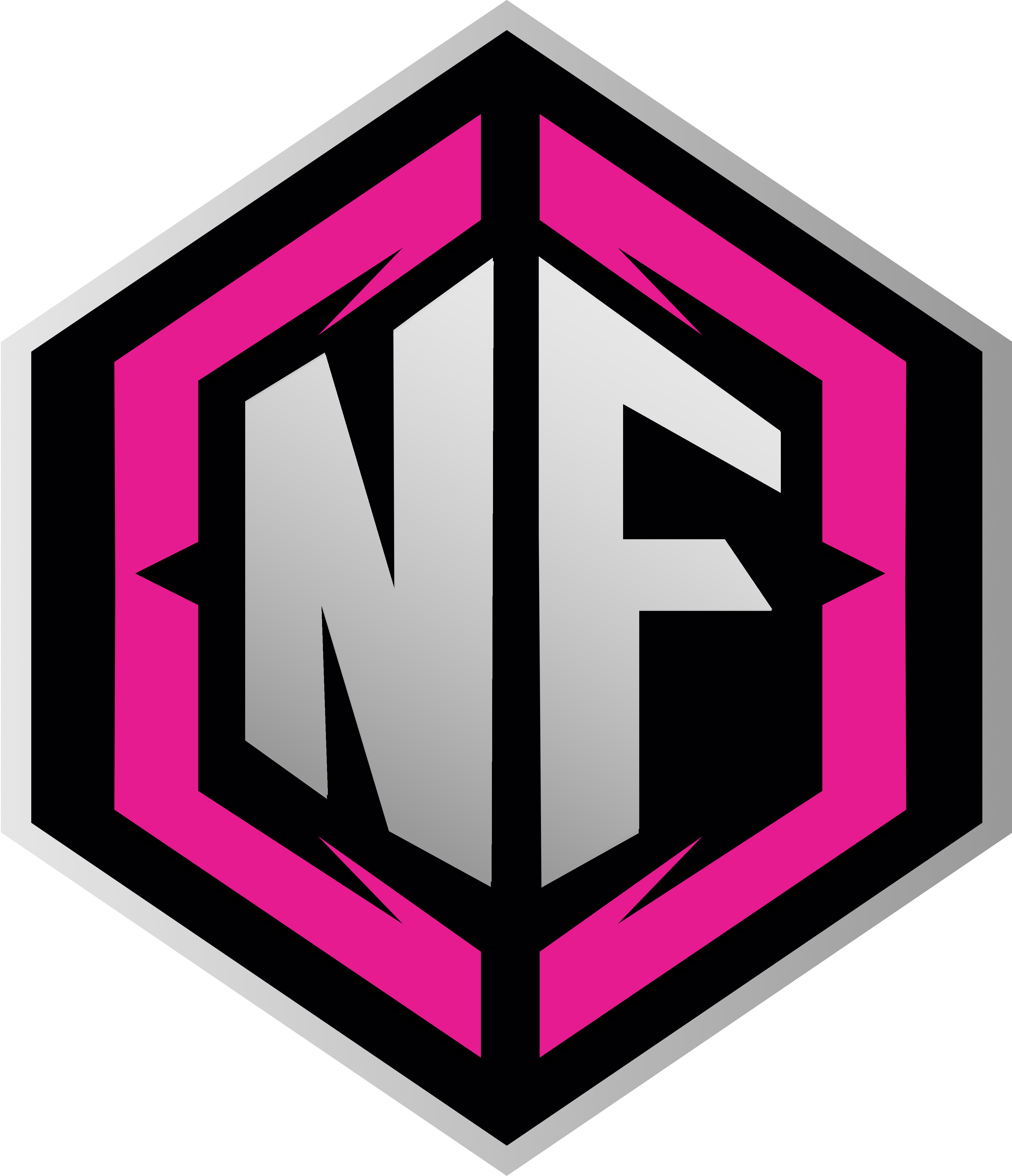 Team Logo