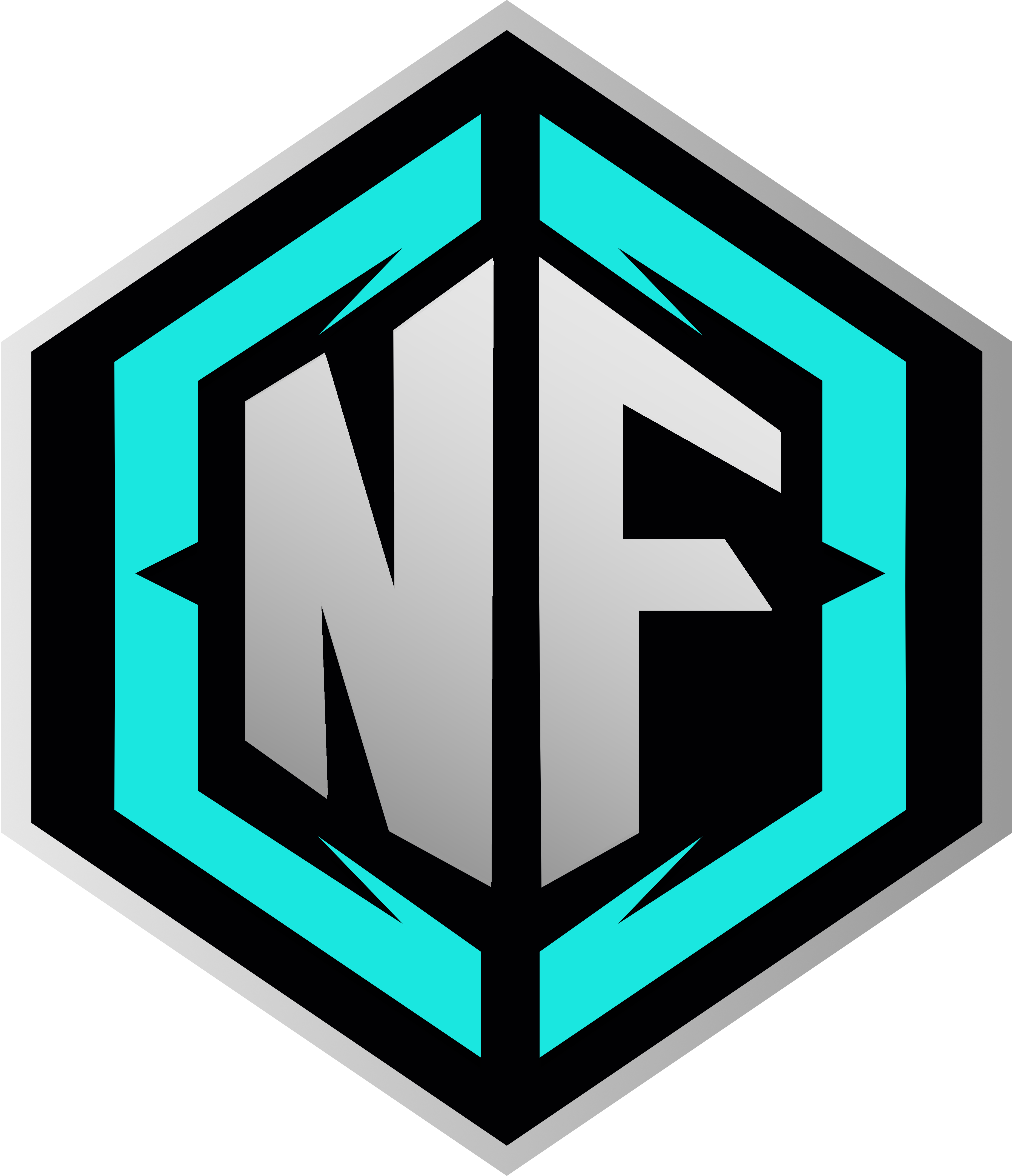 Team Logo